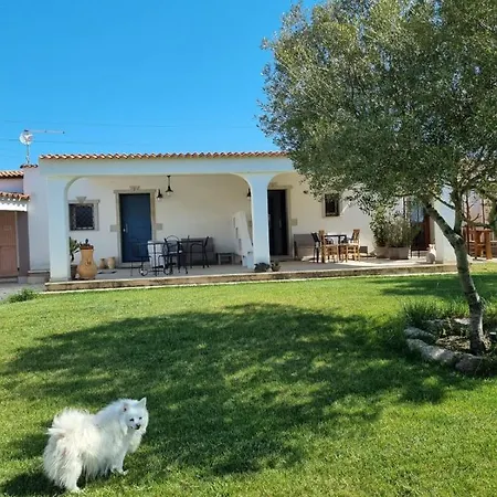 Lu Antu Alloggi Agrituristici Арцакена