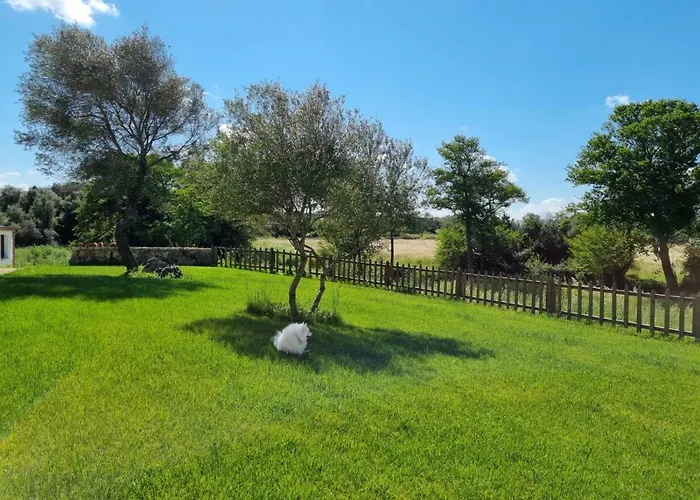 Bed & Breakfast Lu Antu Alloggi Agrituristici Arzachena