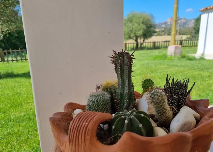 Lu Antu Alloggi Agrituristici 3*