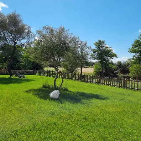 לינה וארוחת בוקר Lu Antu Alloggi Agrituristici ארזח'ינה